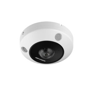 238513 300x275 - Hikvision DS-2CD63C5G1-IVS