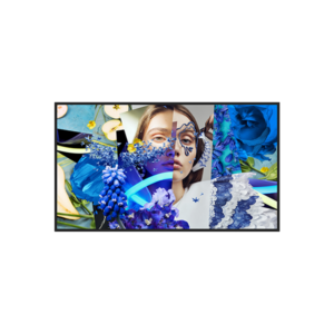 ds d6032fn dp image 1 300x300 - Hikvision DS-D6055UN-DP